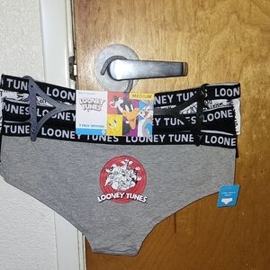 Warner Bros. Gray Classic Briefs with Elastic Waistband